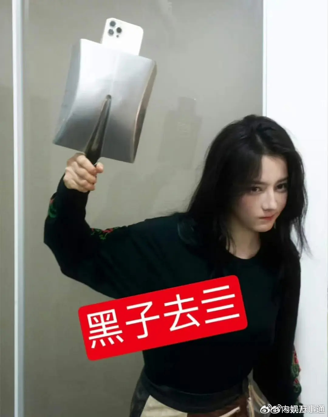 哈哈哈，迪丽热巴粉丝做的图太有才了，经典！