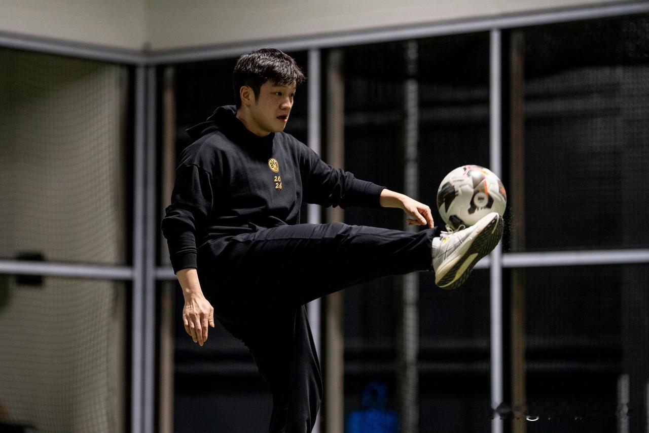 樊振东的最新图片根本刷不完，我又找到了18张分享给大家。

波尔发了8张，多特蒙