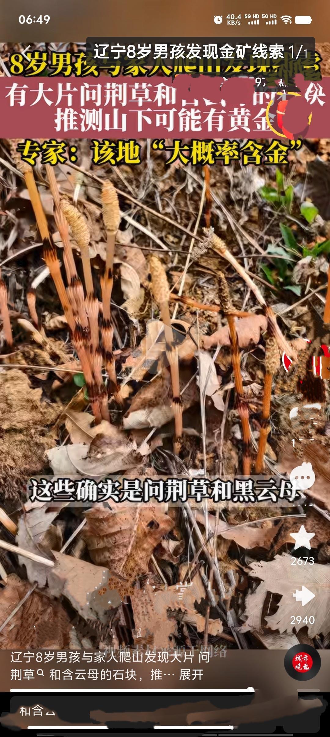 4月16日，辽宁大连庄河大营镇，8岁男孩孙典锋随家人爬山挖野菜时，凭借平时积累的