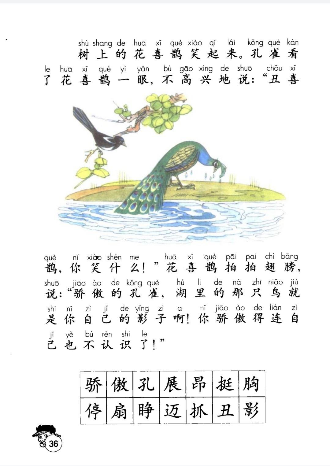#第一次见到这么傲娇的孔雀# 哈哈哈孔雀内心os：你以为我会听你说的吗！不过你们