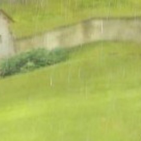 0000紫罗兰种植方法如下： 挑选种子：在每年8到10月份花谢之后，采收成熟的紫