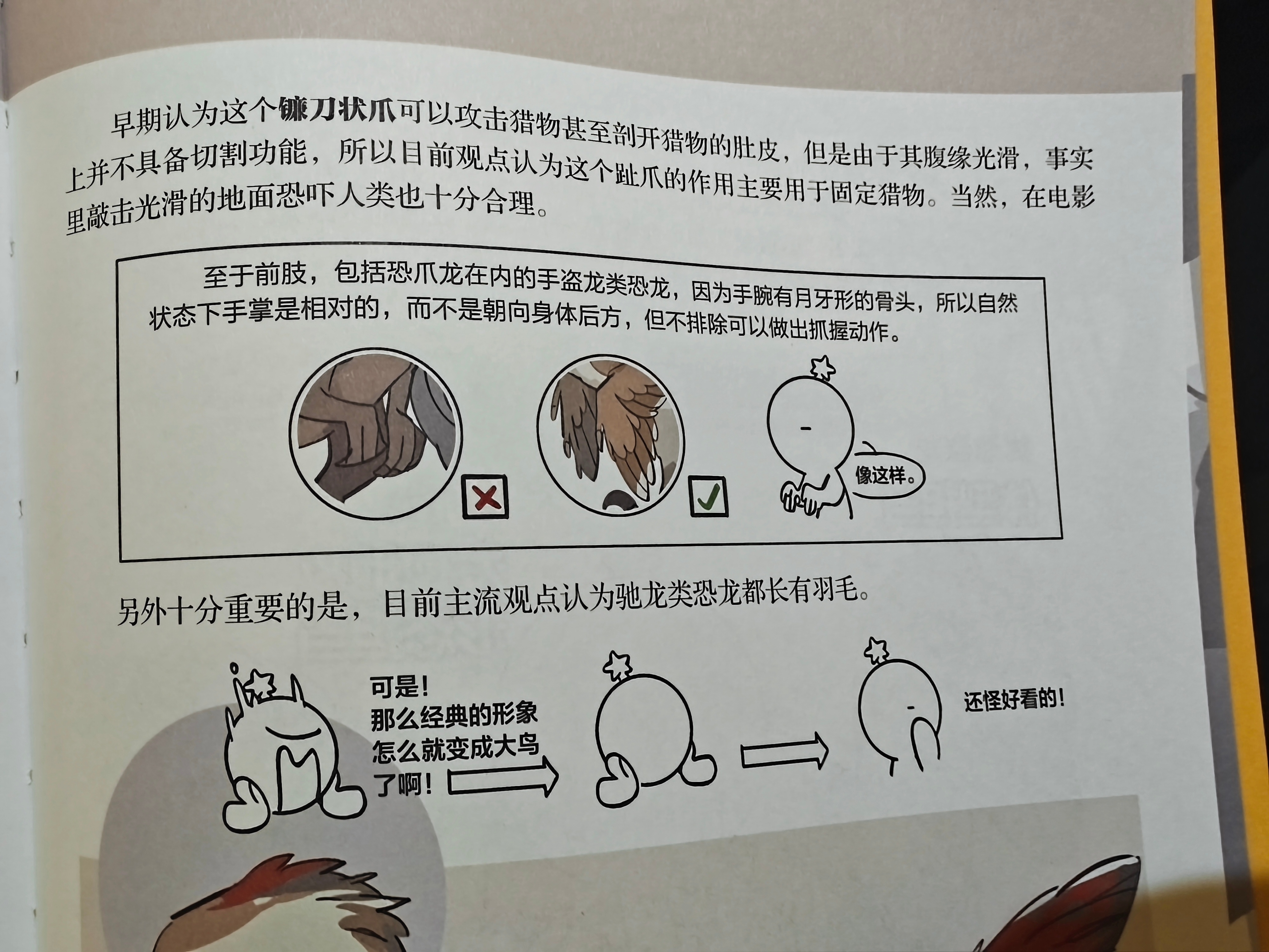 在飞机上把这本书看完了不仅萌趣，还给我涨了不少知识🤓其中《爱龙人的畅想时间》和