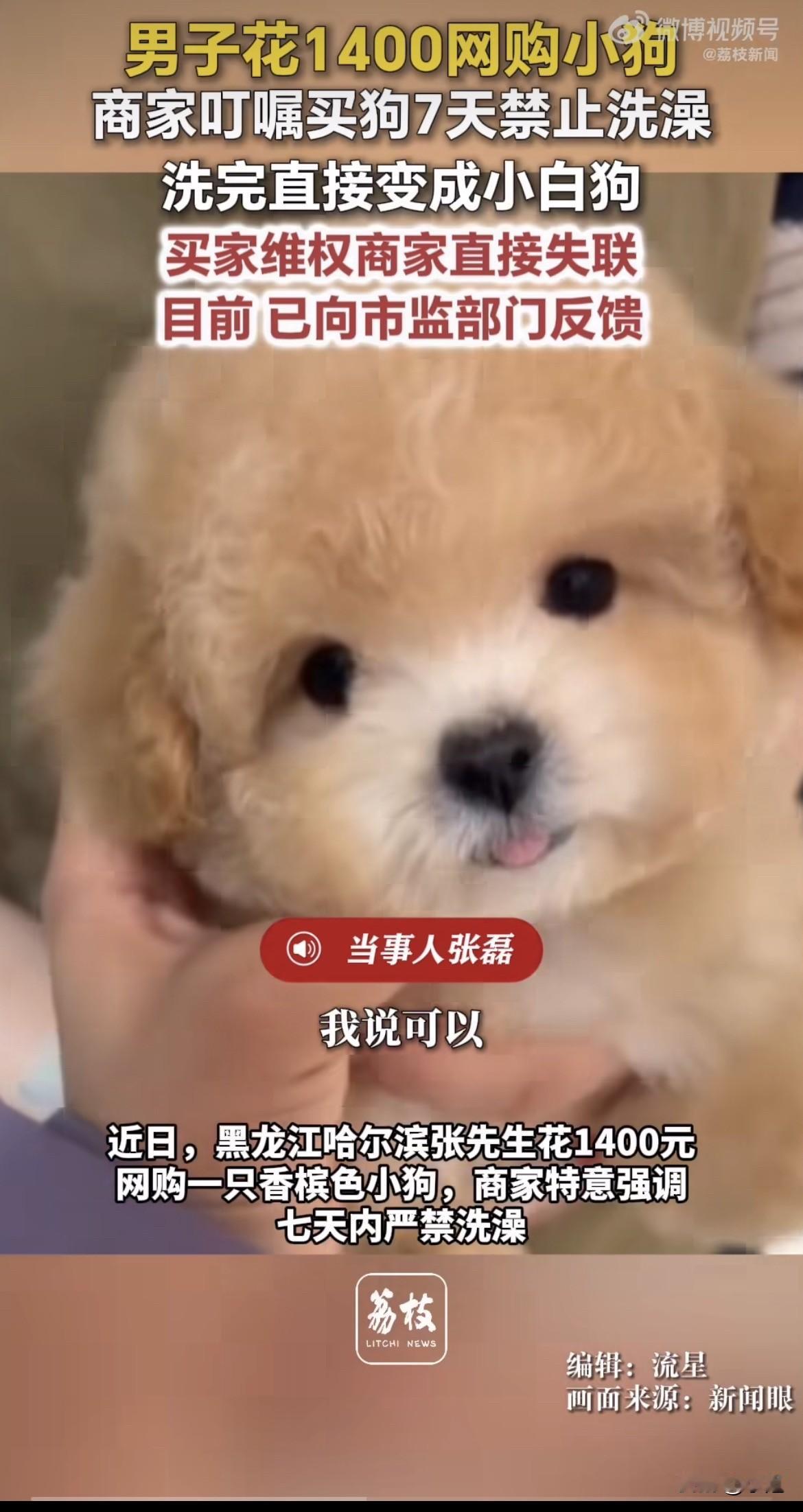 1400块钱买回来的狗，洗了个澡，颜色没了。

哈尔滨的张先生蹲在浴室里，看着水