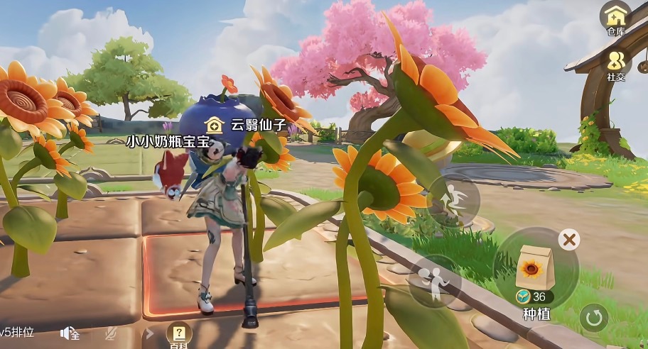 祝福完变异又能偷一波王者农场偷菜技巧王者荣耀