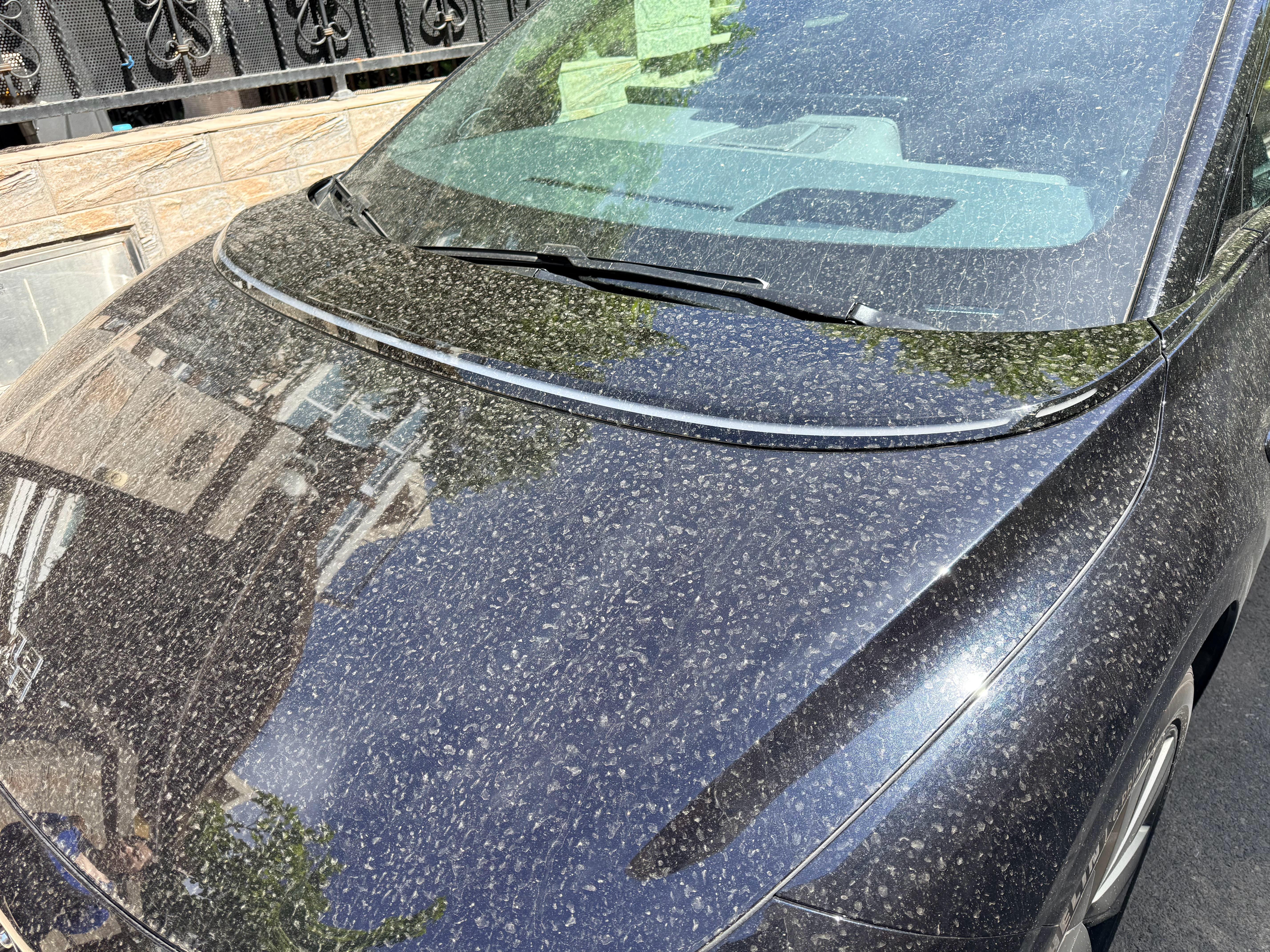 昨天才洗的车