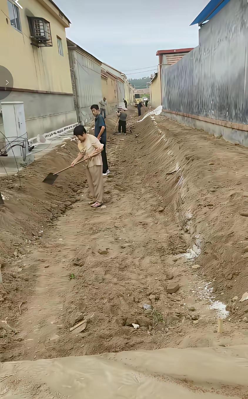 村里要修路，家家都忙活起来了[笑哭]