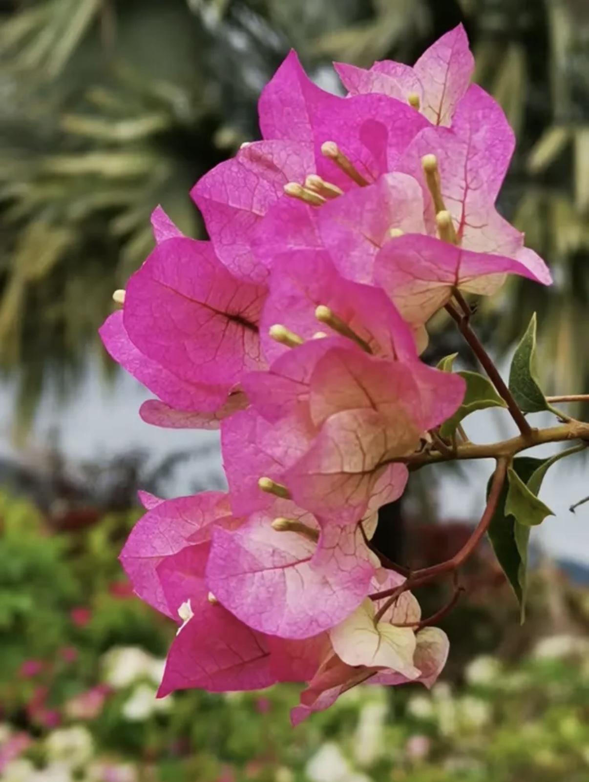 男人下厨房可笑吗
完全不可笑，且非常正常。

做饭是生存技能，与性别无关。 在现