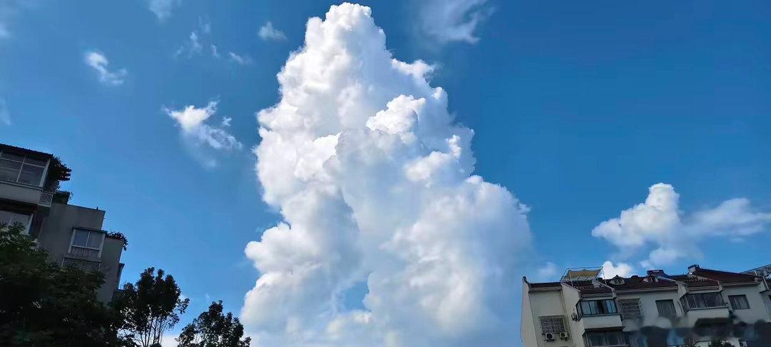大跌都是送钱来的只要你回过头去看，就不难发现: 股市中历史低位的每一次大跌，都是