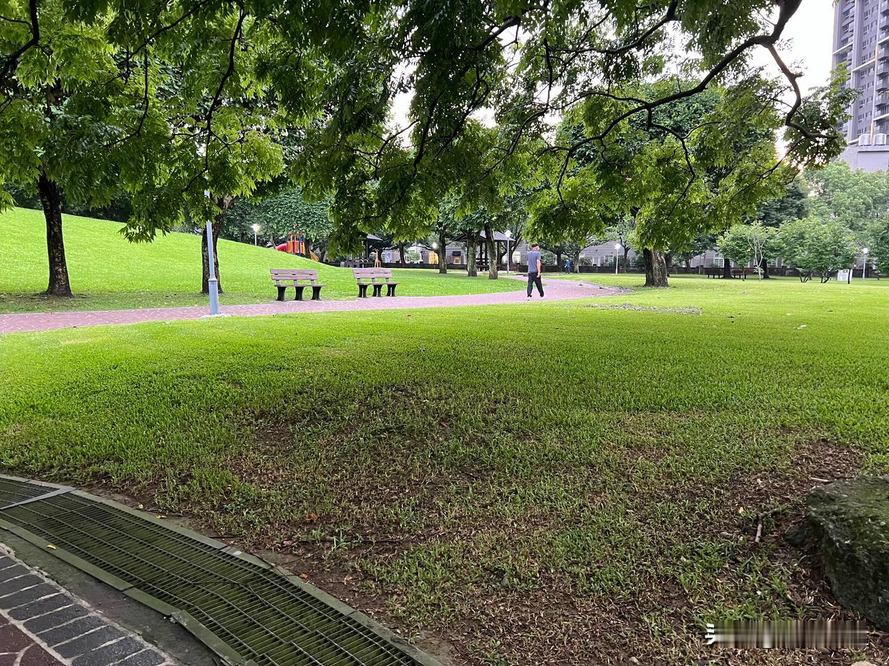 晚餐后吃饱到公园散步， 
七八年没有松驰下慢步！

近年来， 
家与菜园两点一线