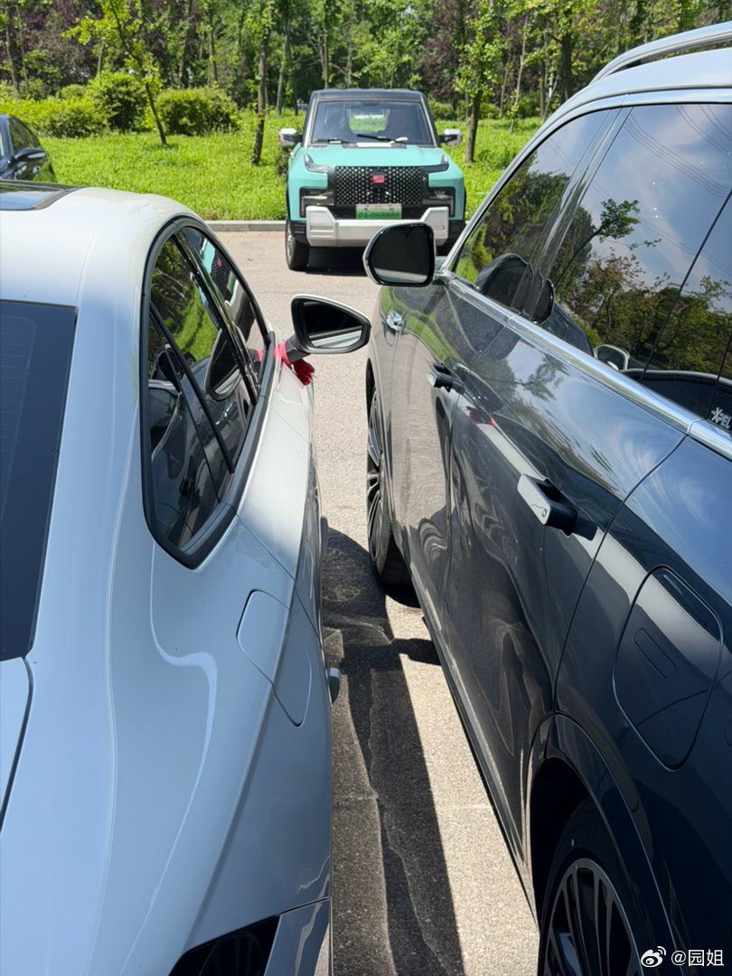 这车停的有水平，要不是我🚗能遥控泊出，我都不知道怎么上车，非常讨厌这种，自己下