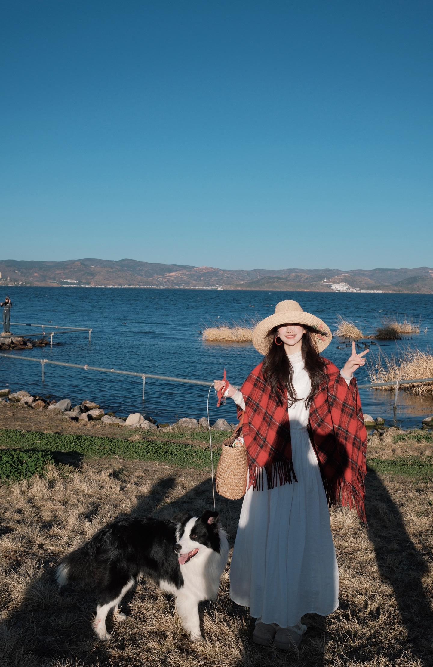 不再见 来年 海鸥来的时候我们再见吧～