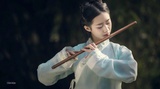 小海豹热玩法律