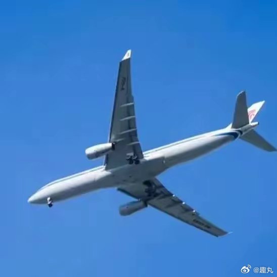 韩失事客机飞行员3次发出求救信号 还是我们国内的机场最靠谱！1，驱鸟队每天重8斤