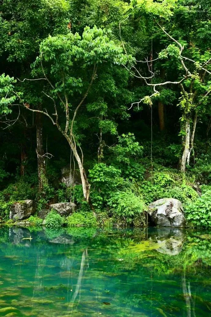 今天是8月最后一天，

一个转身，夏天成了故事；

一次回眸，秋天成了风