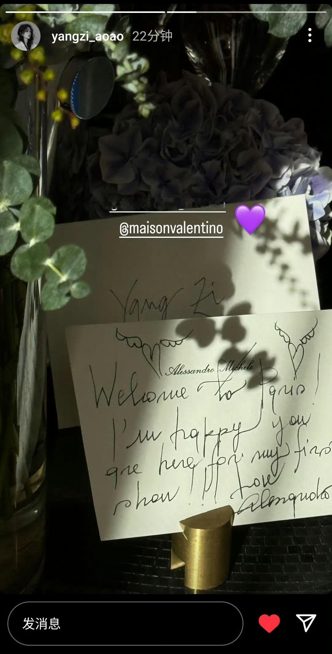 #Valentino品牌代言人杨紫# ：💜(配图是Valentino全新创意总