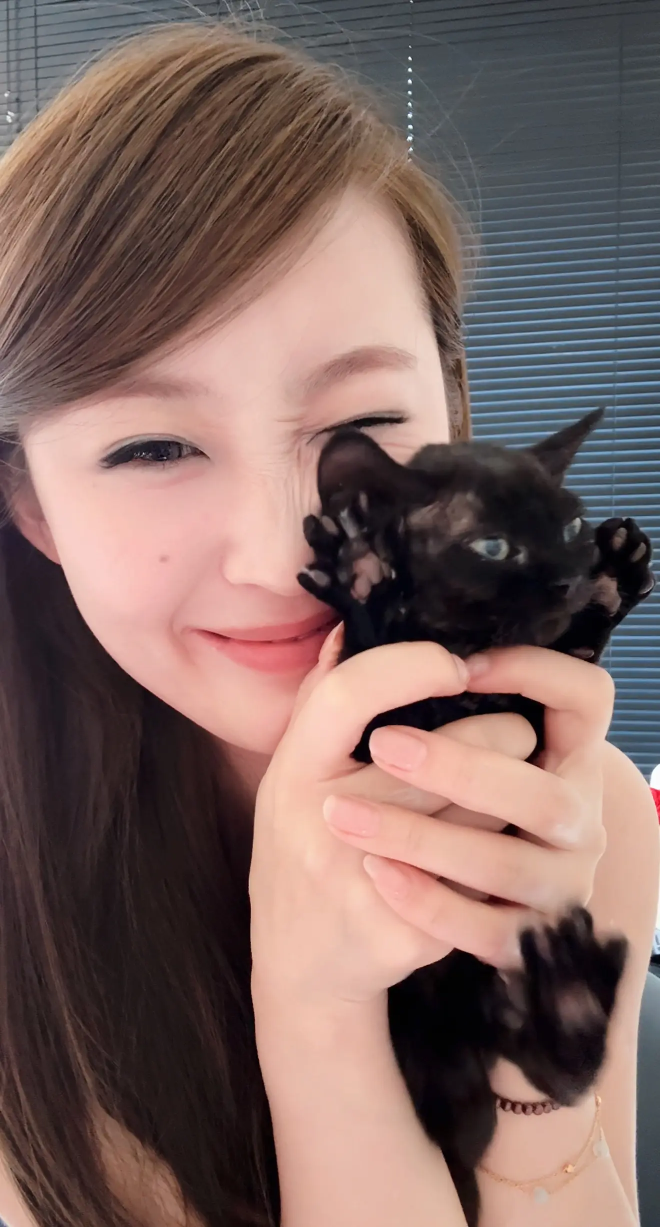 我养了一只猫 她叫煤煤