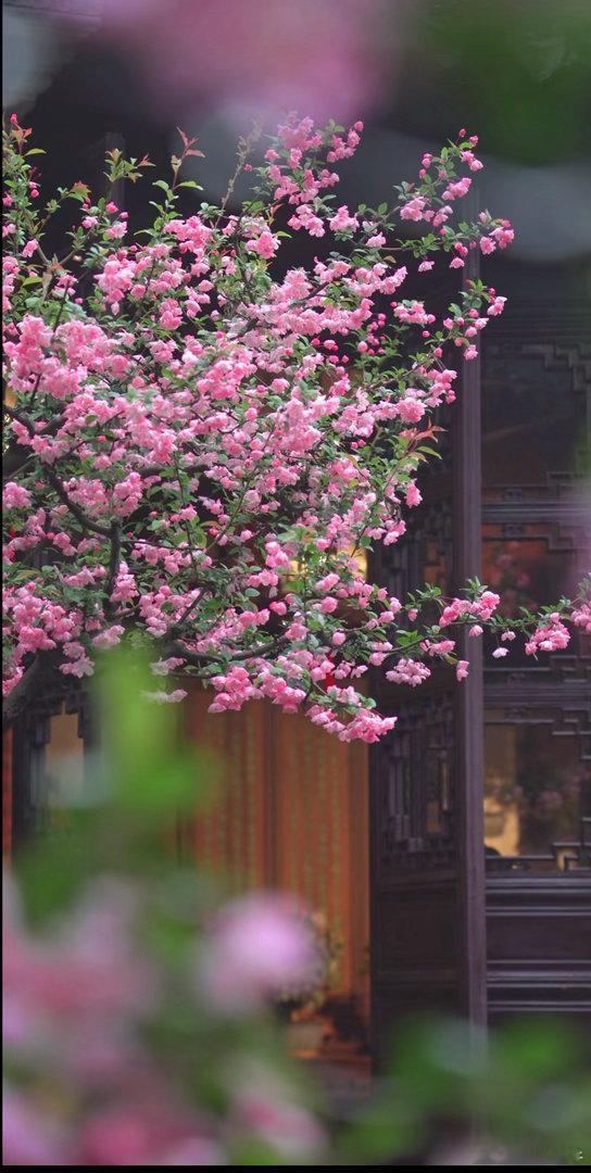 情感博主上线：机遇，只偏爱有准备的头脑 