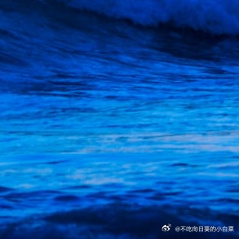每日一善🌹阳光信用当爱和责任合二为一，恩典便与你同在。 -《血战钢锯岭》