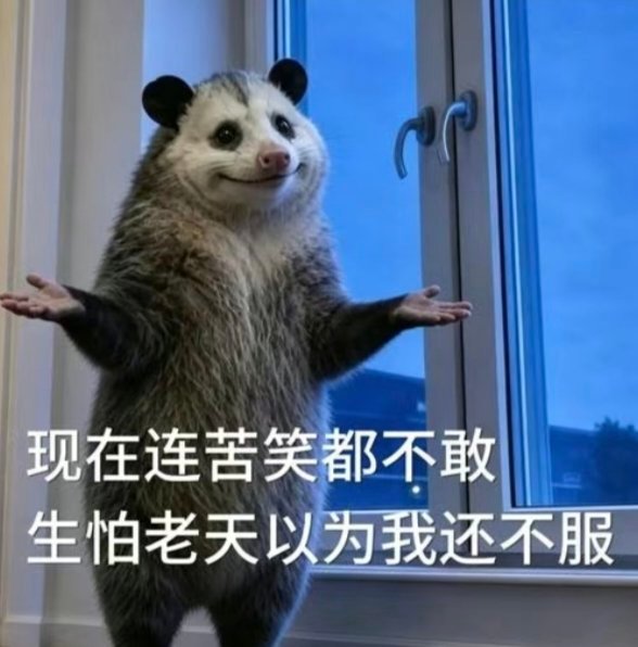 工作之后发现听不懂人话的人还是太多了[可爱]小时候玩植物大战僵尸玩多了吧🧠好像
