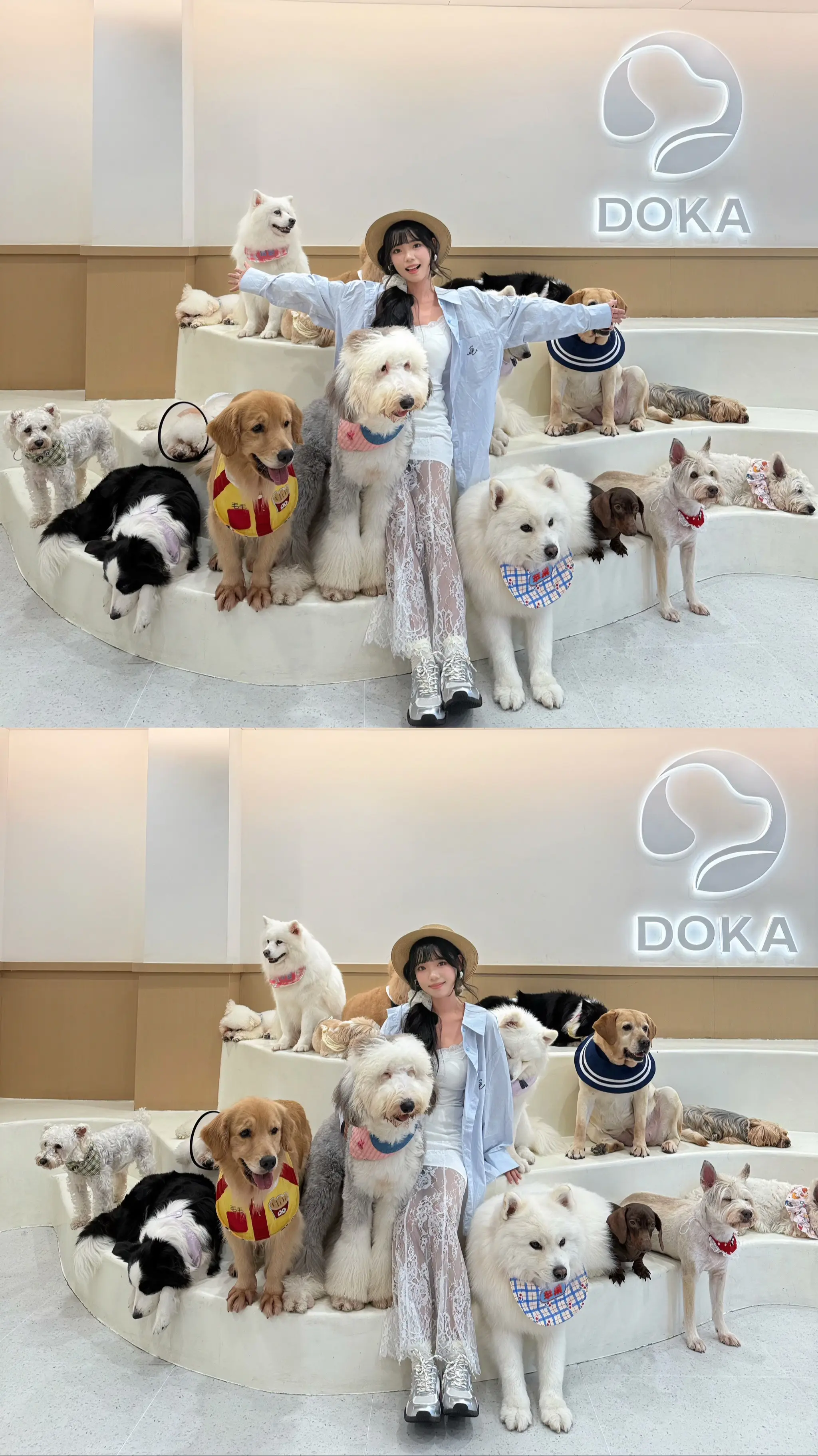 🐶🐩🦮狗狗治愈世界～奇怪我爱小狗
