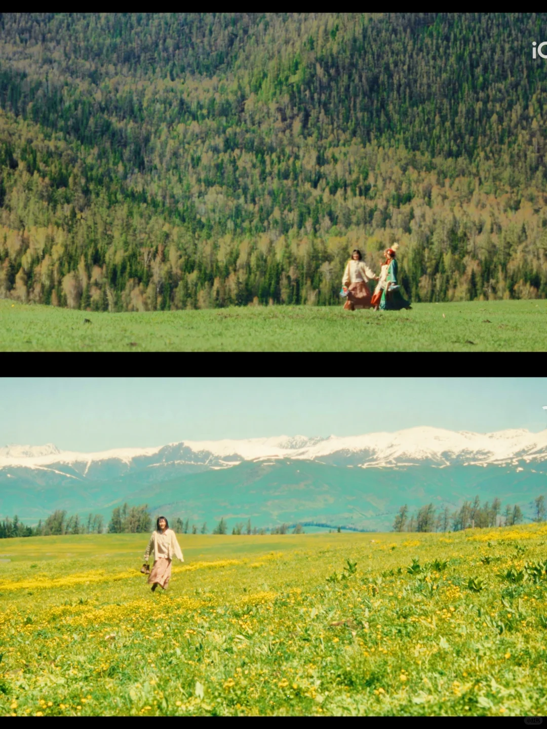 越看越激动❗彻底治愈了我的内耗！