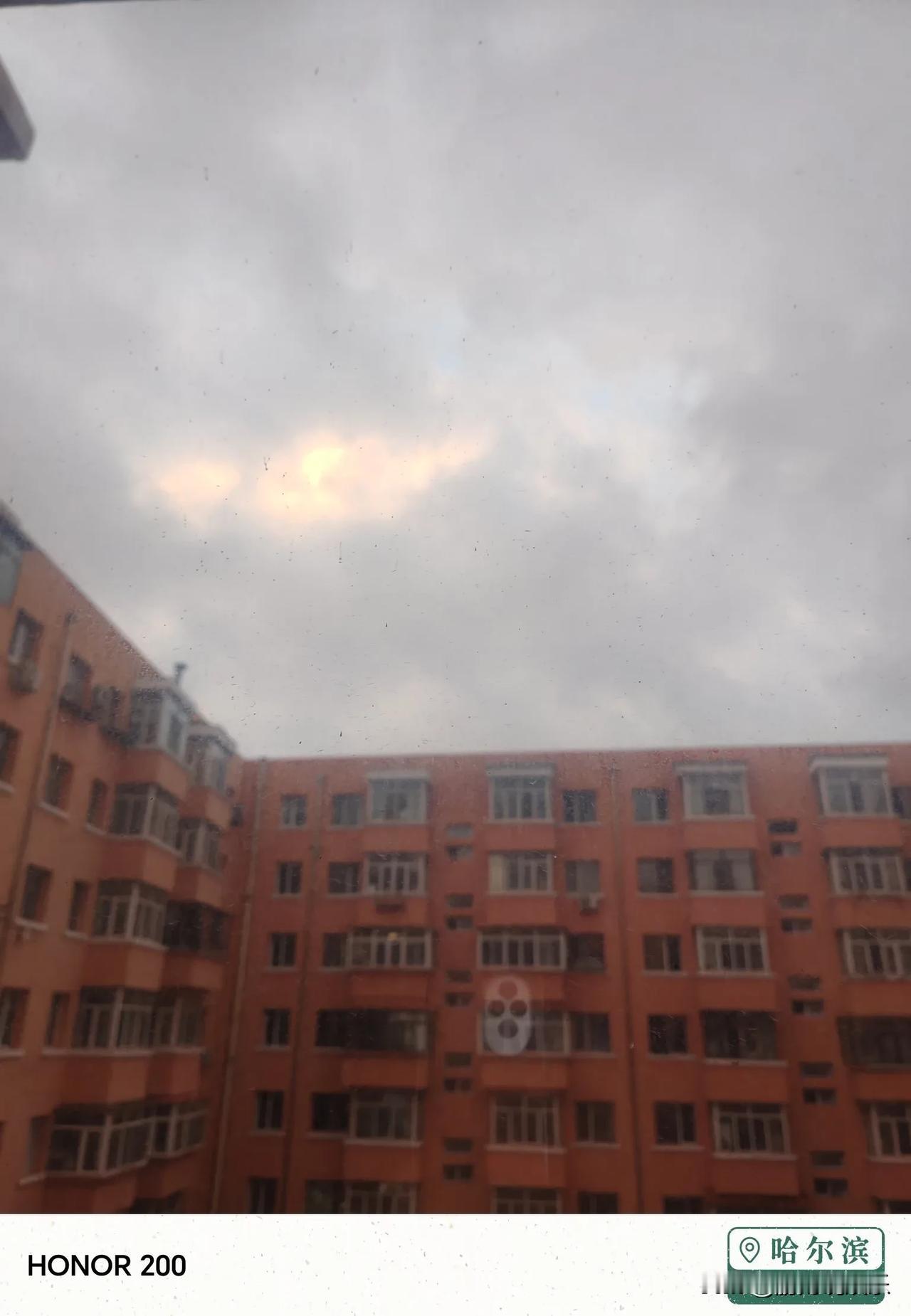 最近都是高温天气，非常热☀️还好前天晚上下了雨🌧️感觉凉爽多了