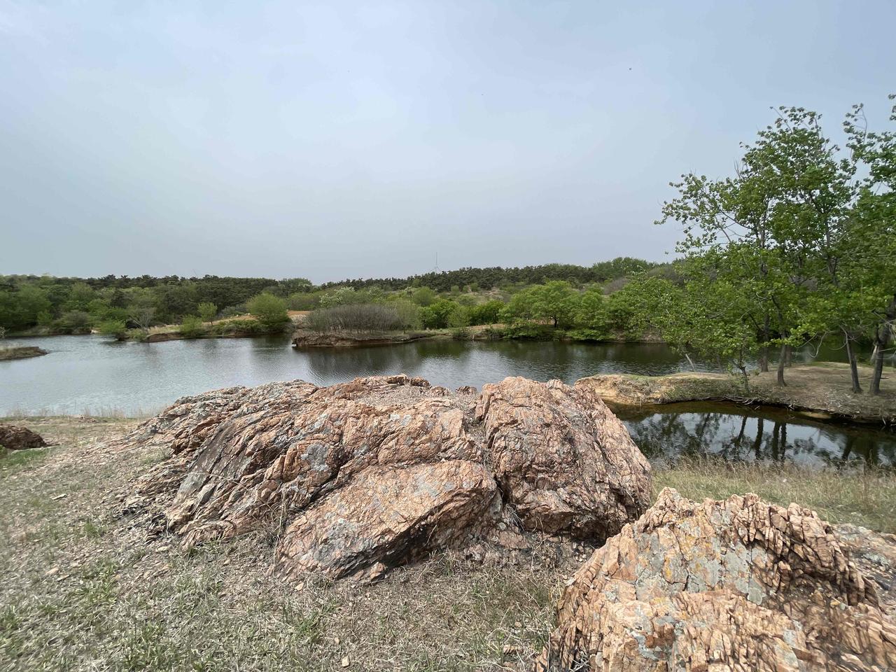 小散文：路边的野花

         路基旁的碎石缝里、杂草丛中，藏着一片被忽