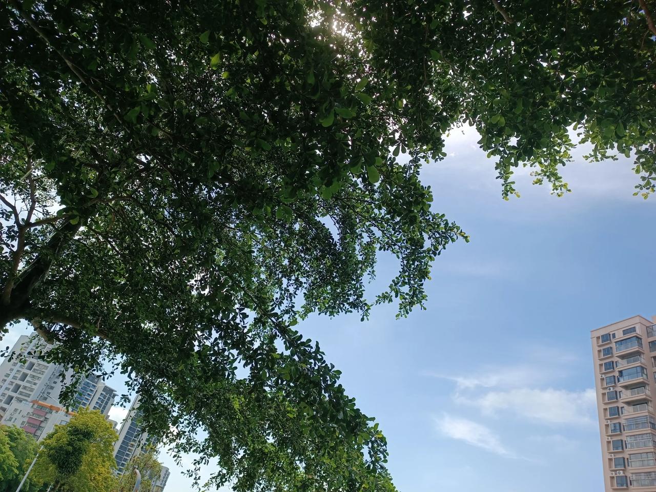 星期日下午
天晴了
上午下雨了
没有那么热了
凉快了一点
哈哈，下午好
[送自己