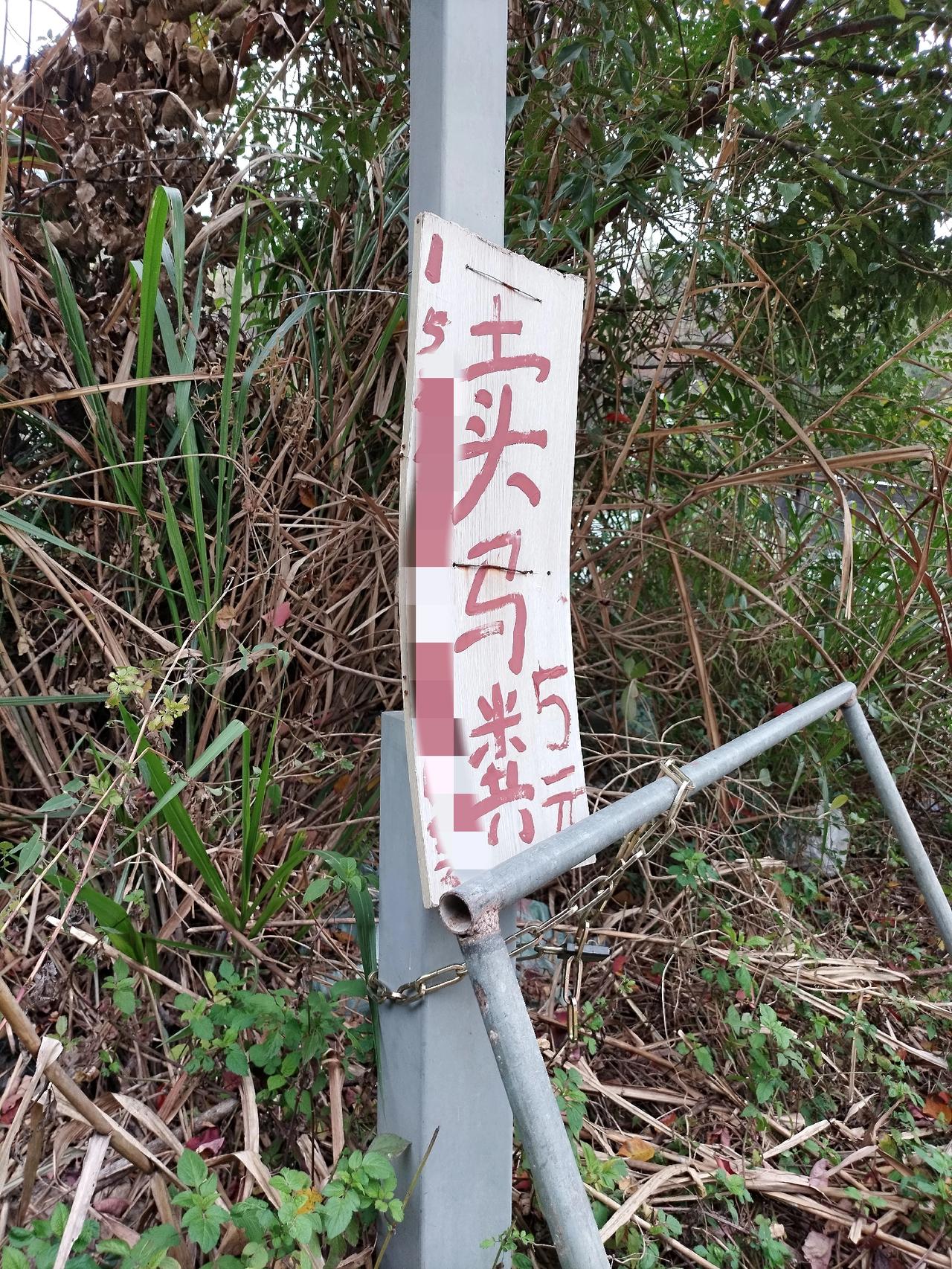 人到中年，才懂得爱情是乍见之欢，亲情是久处不厌；爱情是眼里的光芒，亲情是手心的温