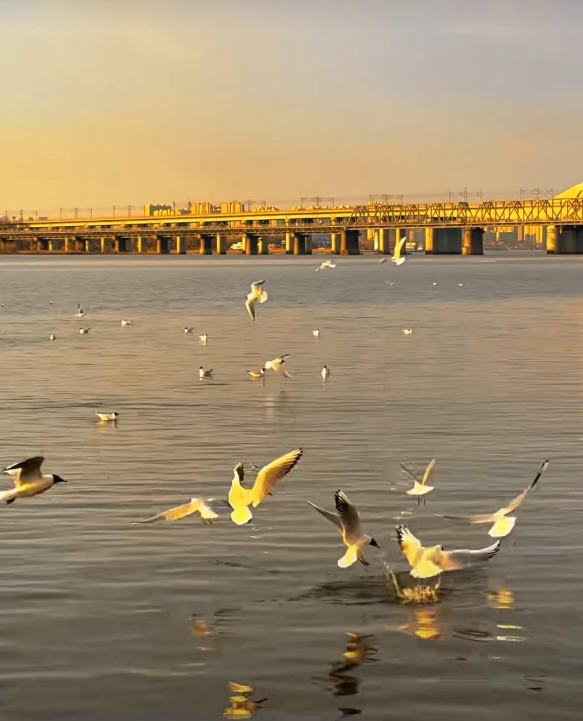 哪种人可以深交一辈子
办事靠谱，事事有回应，
为人正直，不妄议是非，
处事低调，