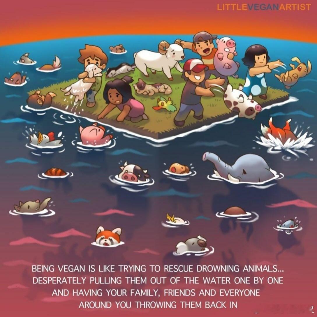 成为一名纯素食者，就像努力拯救溺水的动物……你拼命地一只一只将它们从水中拉上来，