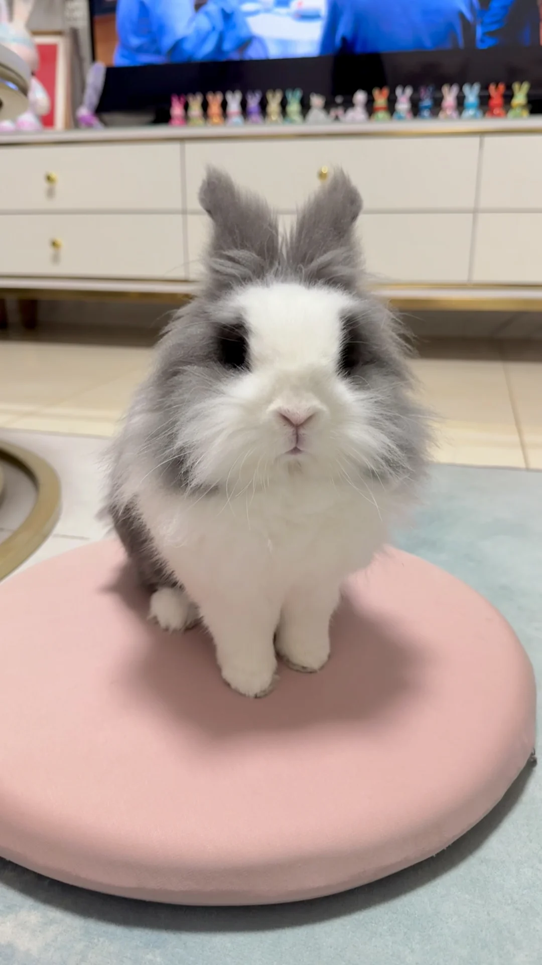 妈，快来一起看剧！