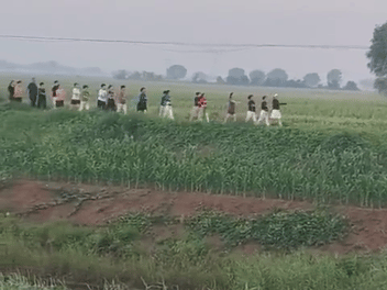 暴走团走进连田埂了，
这是惹烦人城市人，
又来惹农村人。