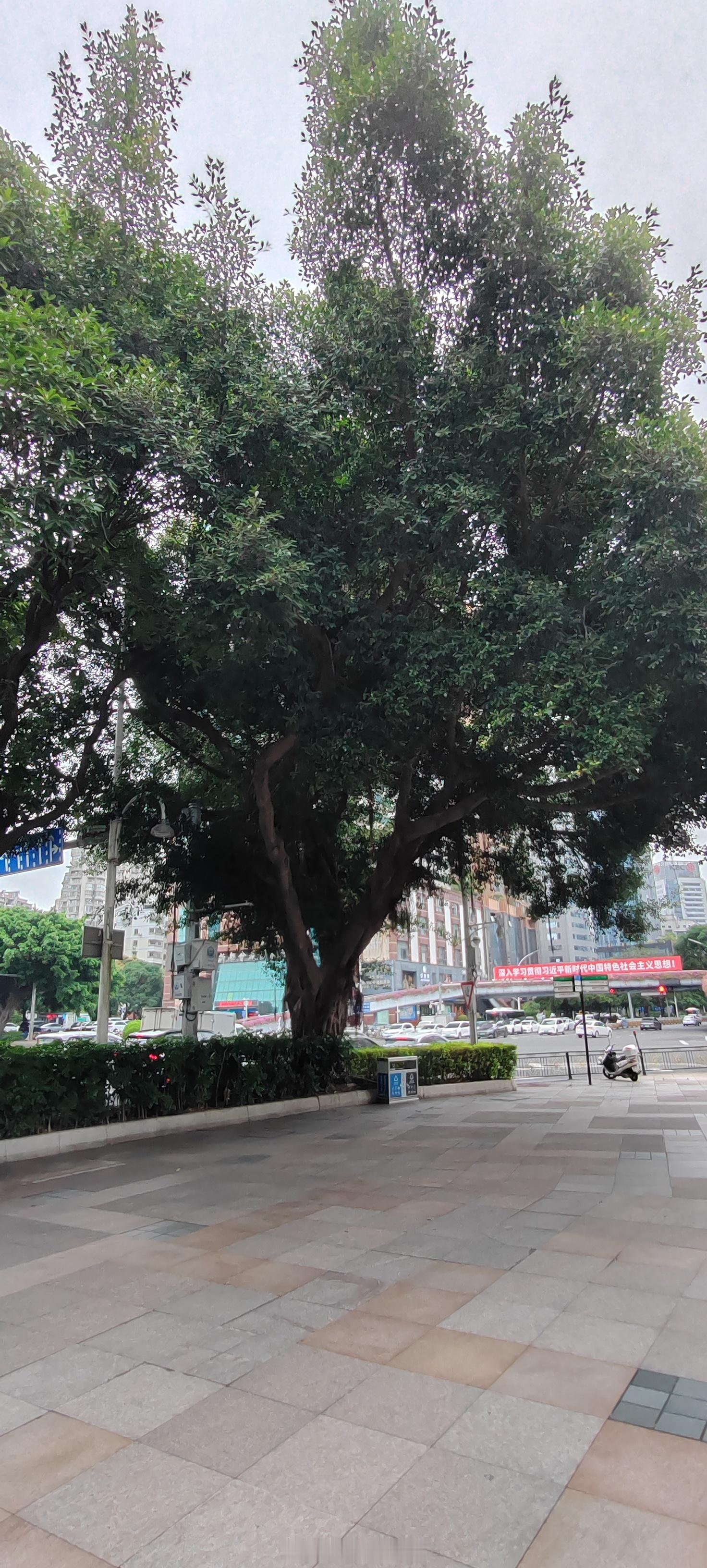 人生路上，难免会有感觉不顺的时候。这时，不妨审视一下自己，是不是心里装了太多不需