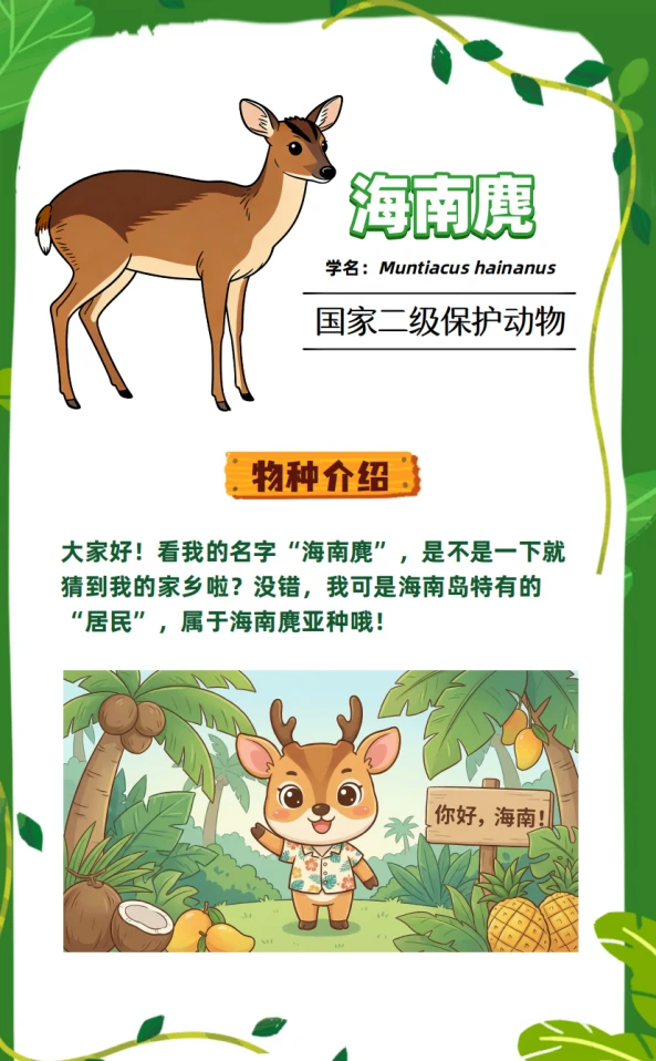 海南限定小精灵🐐海南麂出街啦！