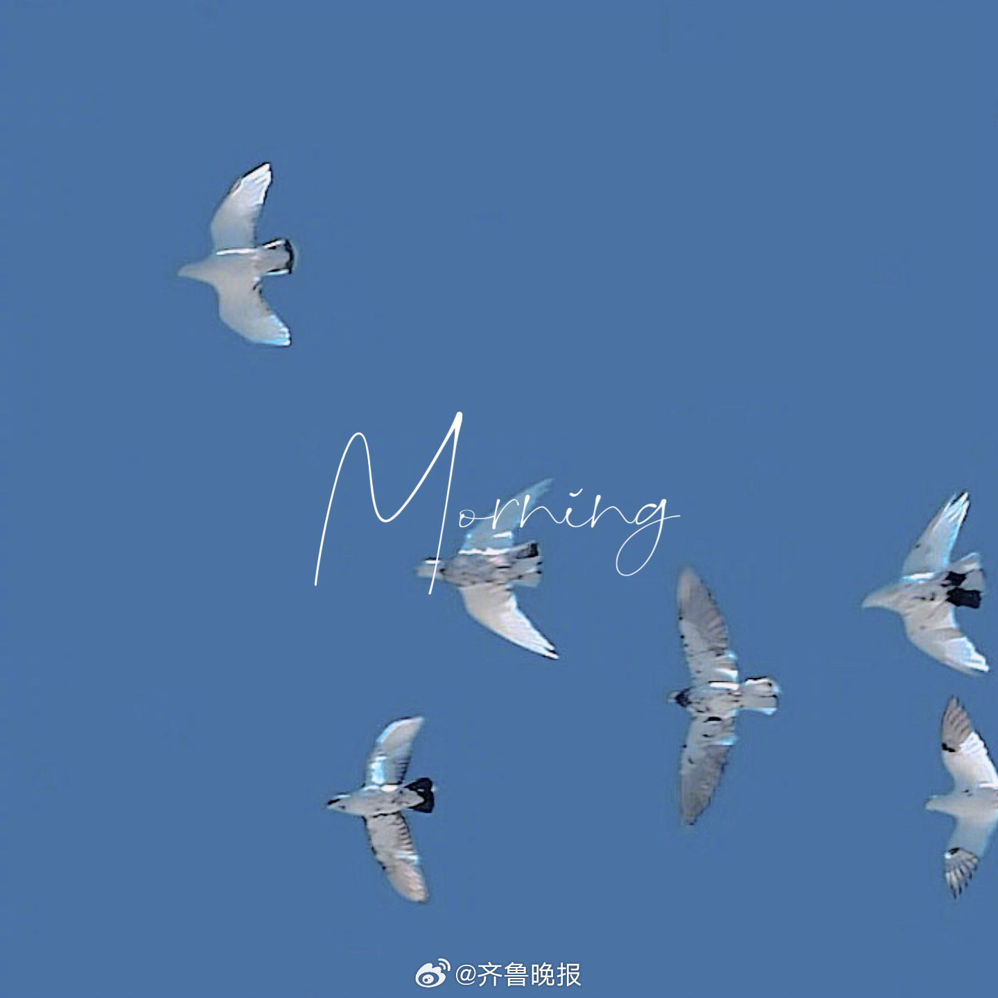 此行必然承受将灵魂烧熔那种寂寞直到确认我不是虚构[太阳]#早安# ​​​