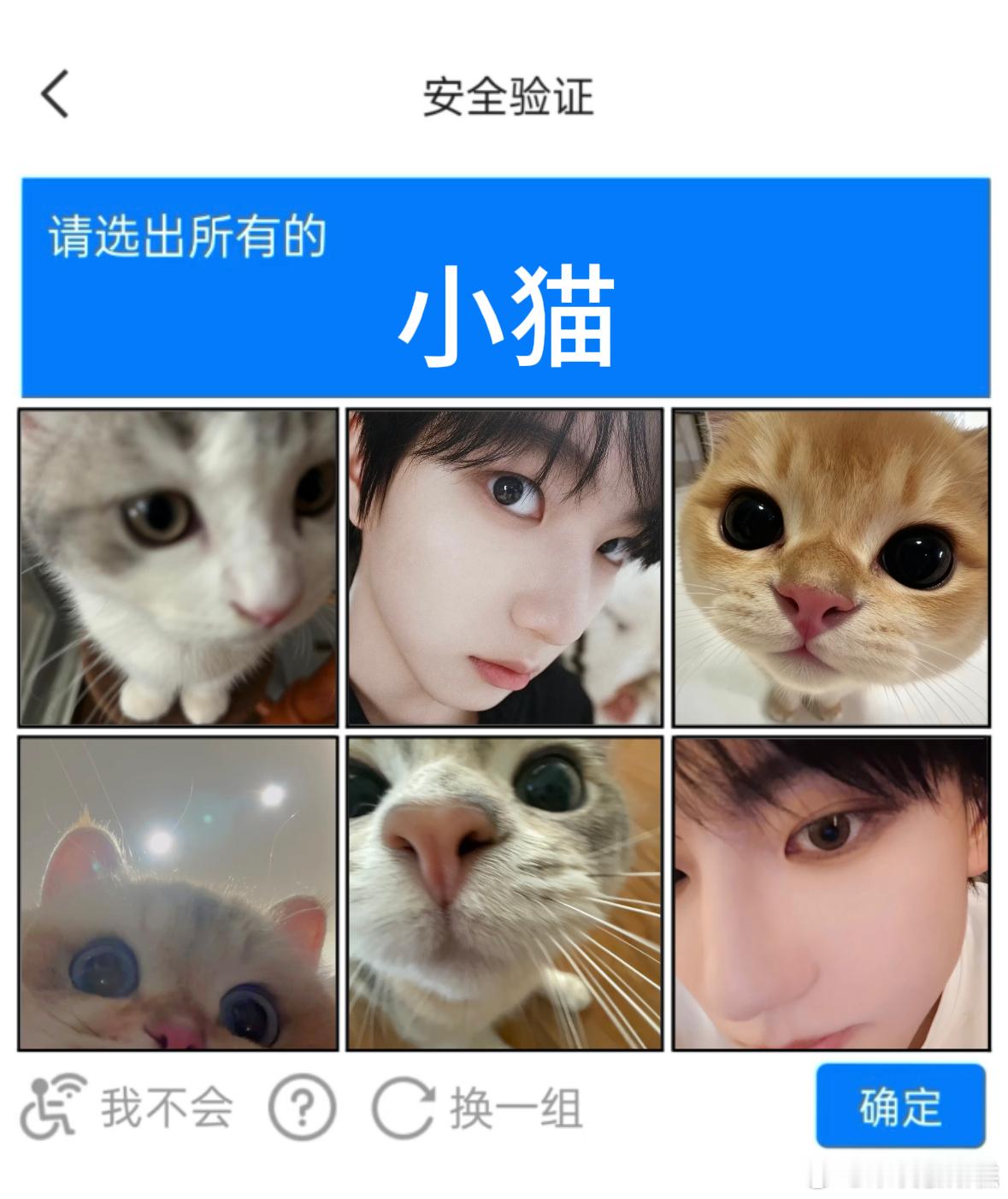 穆祉丞  人机验证 都来测试一下：请选出所有的小猫՞･∞･՞（其余小猫图源来自于