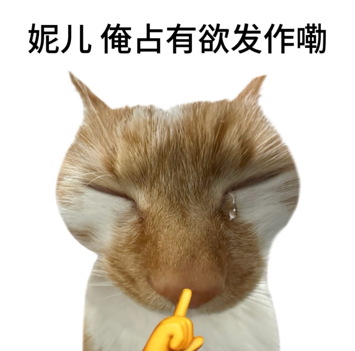 敖瑞鹏今天超话你自己签到 