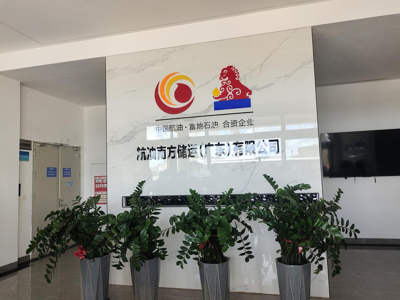向绿向新向海——湛江临港工业园企业高质量发展一线观察

2026年7月2日，我们