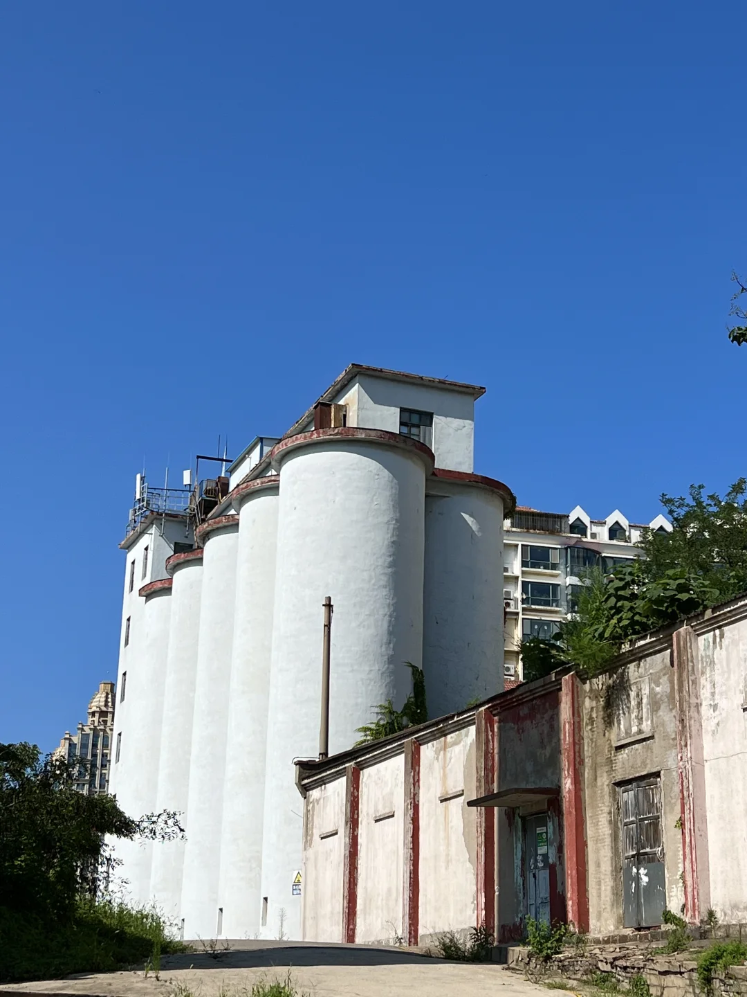 烟台…你也太超前了！