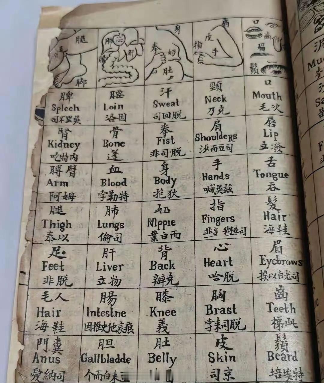 原来清朝是这么学习英语的 