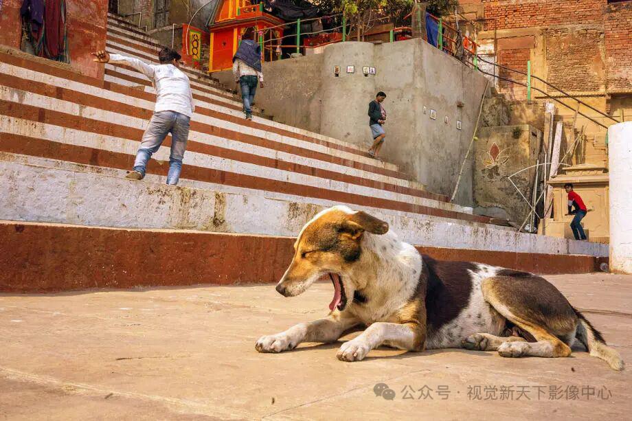 瓦拉纳西的生活影像 
摄影师Dan Morris