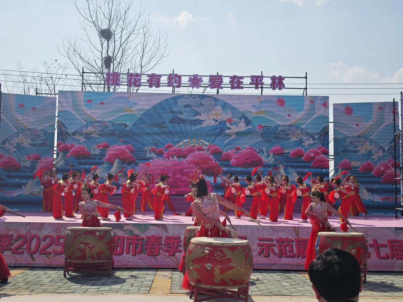 桃花朵朵开 我在这儿等你来！
      3月16日，2025年枣阳市桃花节在平