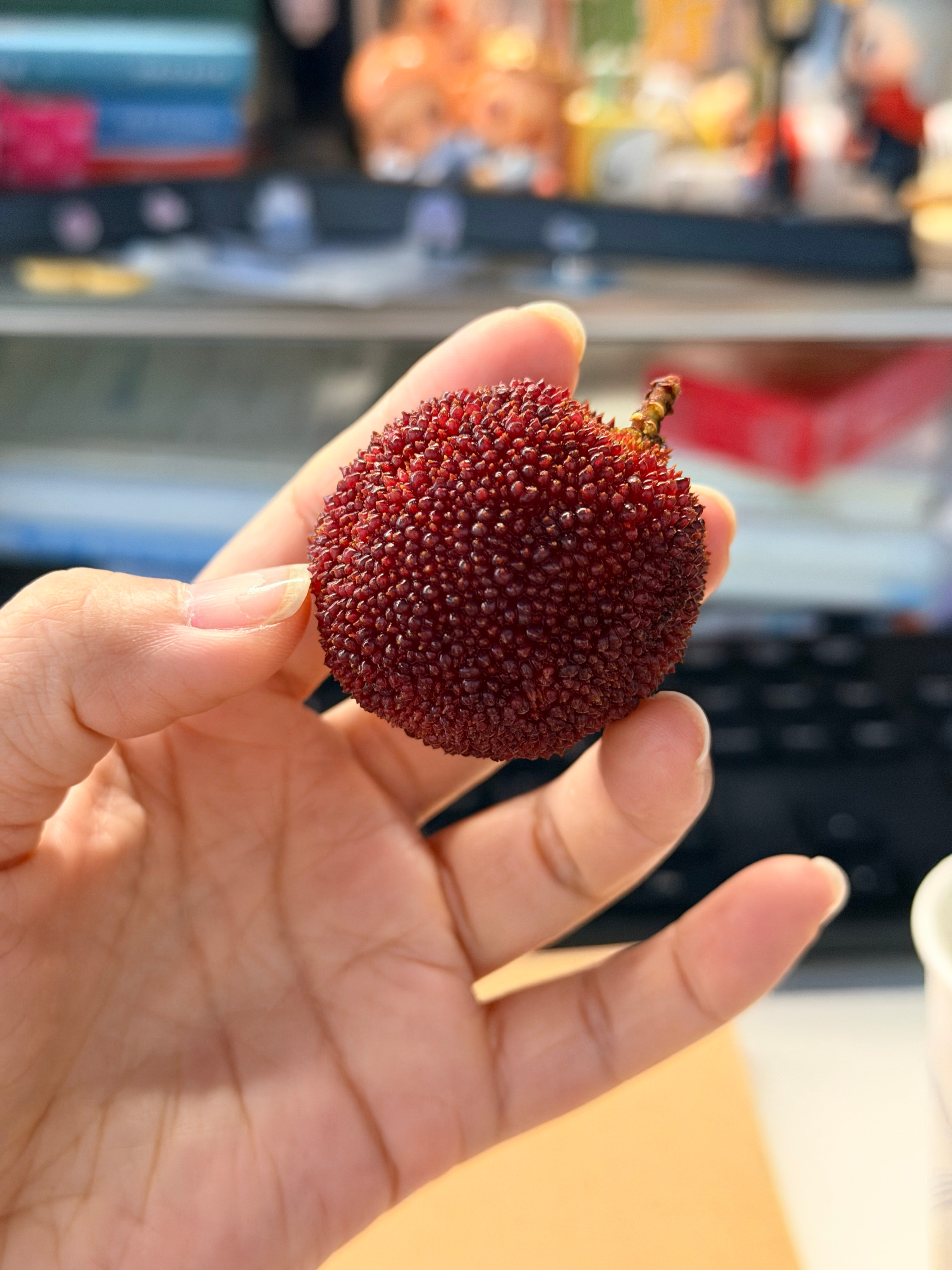 分享一些生活的快乐。 