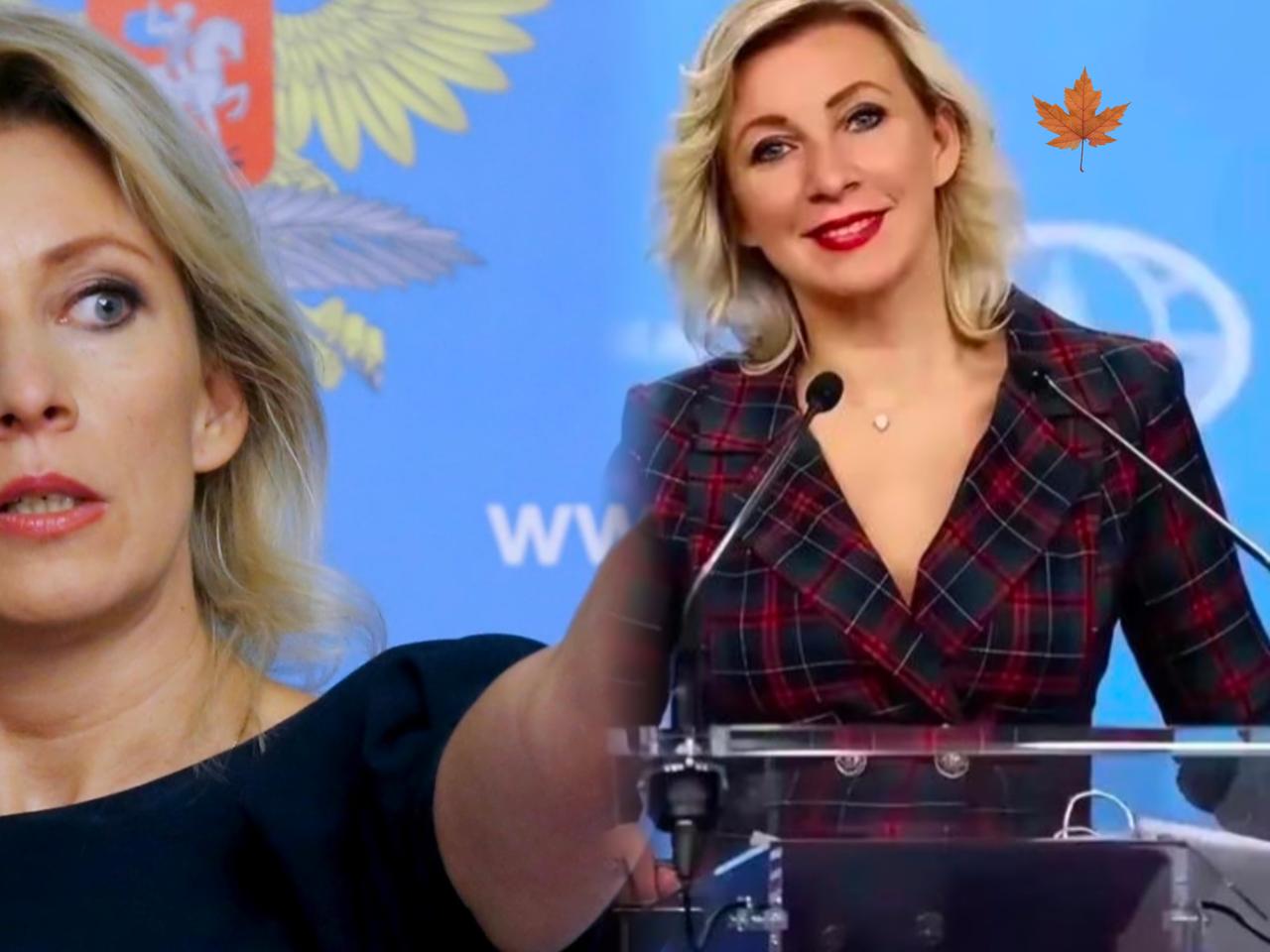 日本是世界上唯一一个不完全承认二战结果的国家扎哈罗娃@俄罗斯驻华大使馆外交部发言