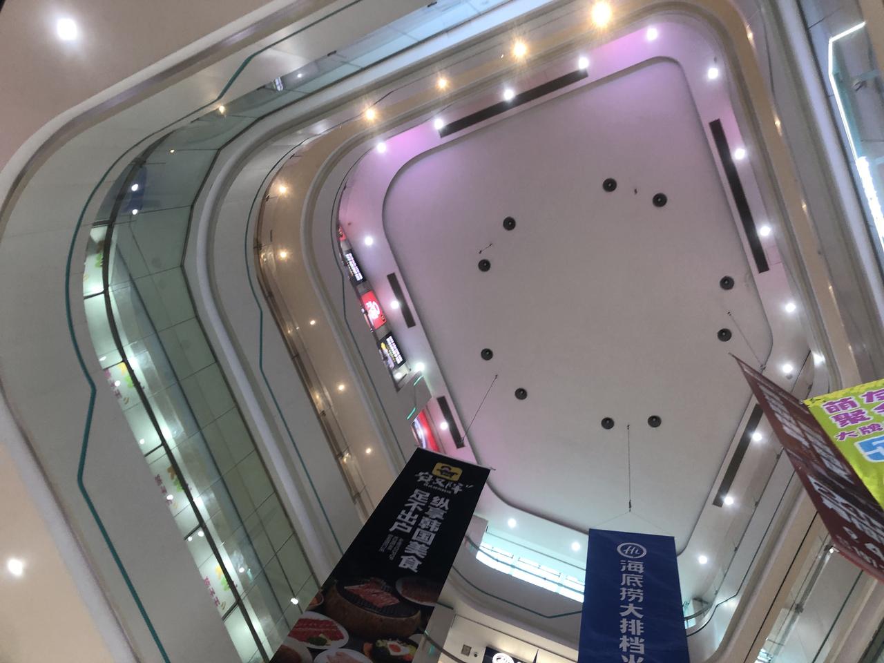 今天早上追高的都是可怜人