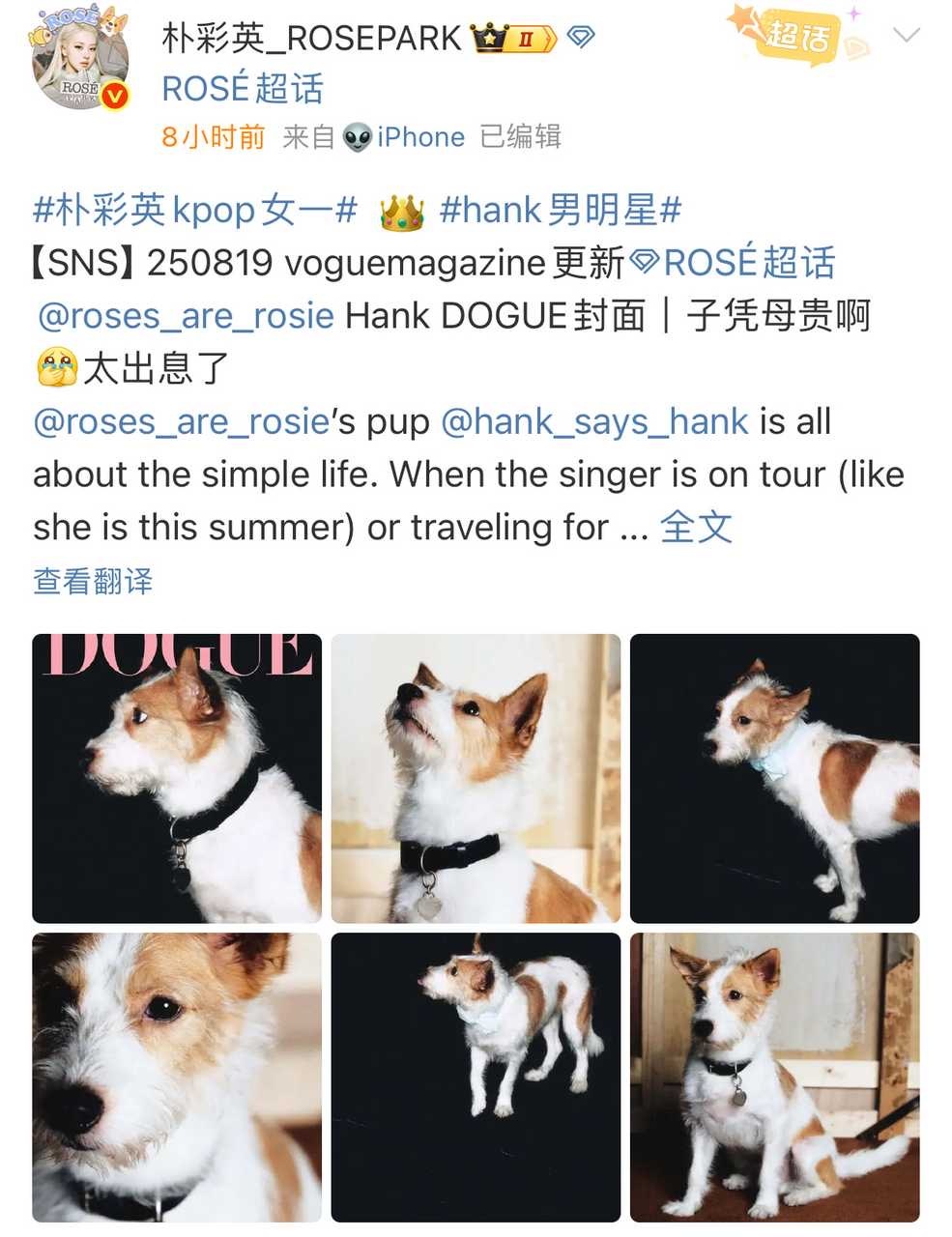 这也太抓马了吧❗️❗️❗️朴彩英的狗登上vogue 母版这这这比金智秀在美国还火
