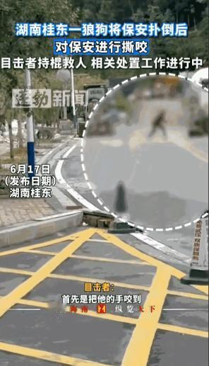 湖南，男子出去倒垃圾时，突然冲出一条大狗，将他扑倒在地撕咬，男子虽然极力反抗，奈