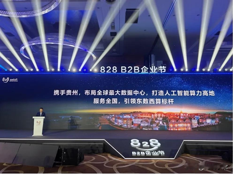 8月27日，2024年的中国国际大数据产业博览会在贵州贵阳拉开帷幕，同期启动了备