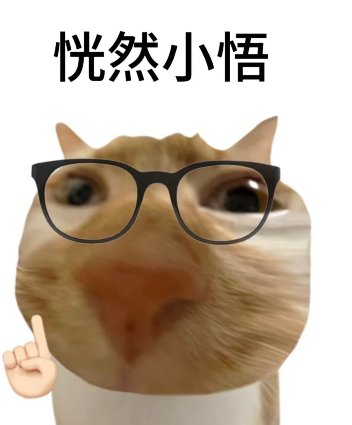 千万别让冰箱贴毁了你的冰箱冰箱都要追求无痕吗？这种东西不是只要功能正常就好了吗？